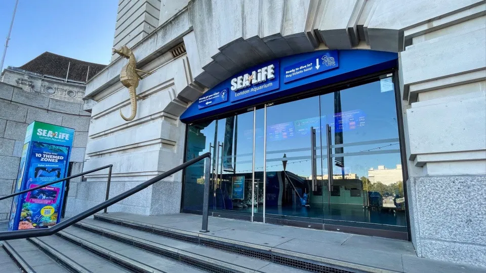 SEA LIFE London Aquarium &#8211; Entry Ticket - Image 1